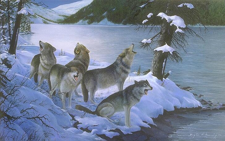 [Painting-GrayWolfPack-Howling-By_the_lake.jpg]