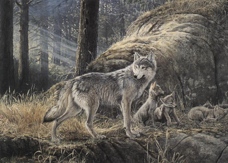 [gray_wolf_mom_with_sleepy_pups-painting.jpg]