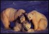 [Polar Bears-Family-OnSnow]