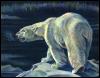 [animalwild012-PolarBear-Painting]
