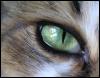 [Cat's Eyes 2]
