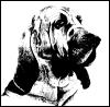 [DogDrawing-bloodhound]