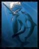 [TheDance-Mermaid n dolphins-Art]