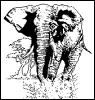 [MammalsClipart-Elephant01]