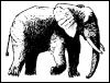 [MammalsClipart-Elephant Tusk]