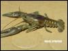 [slide15-RustyCrayfish]