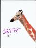 [Giraffe2-Drawing-Head]