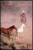 [Cowboy-2horses-15410070]