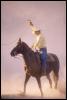 [Cowboy-Horse-15410036]
