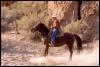 [Cowboy-Horse-15410040]