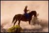[Cowboy-Horse-15410071]