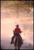 [Cowboy-Horse-15410072]