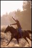 [Cowboy-Run-Horse-15410065]