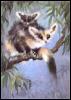 [afb50008-Possum-Mom n yong-Painting art]