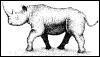 [MammalsClipart-Rhinoceros04]