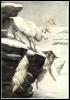 [Painting Ngm670-ArcticWolfPack-Attacks-WhiteCaribou]